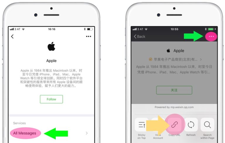 get wechat account url