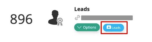 Downloading Leads via Button 