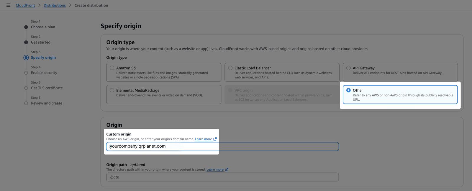 as the Custom origin enter the domain in the address bar you copied before