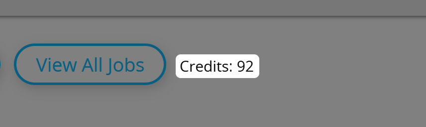 Screenshot of credits quota in Batch QR Generator 