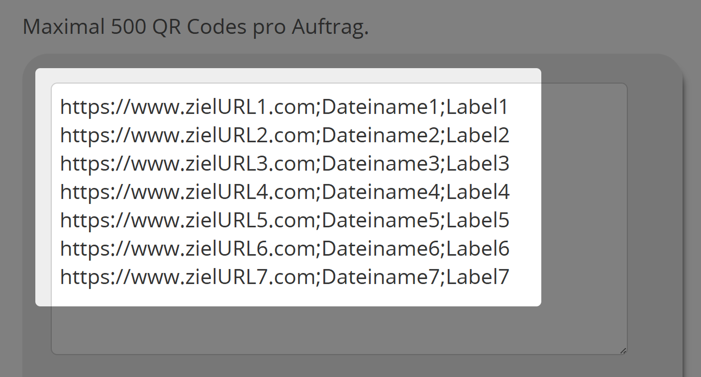Screenshot des Eingabefeldes für Ziel-URLs in Mass QR Code Generator 