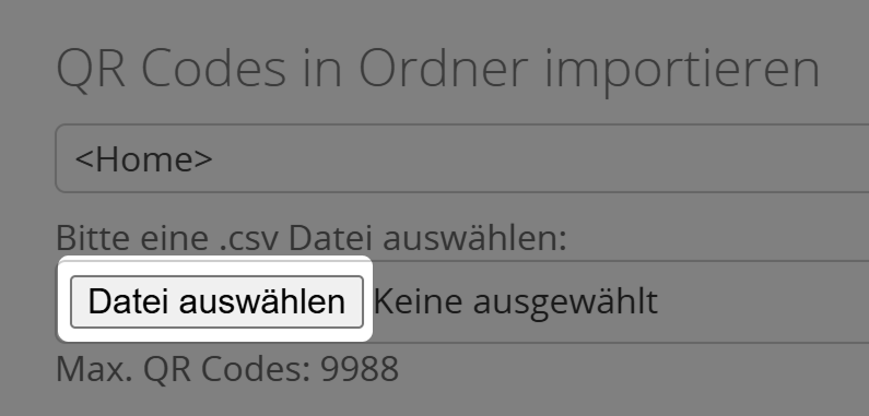 Screenshot der Schaltfläche "Datei auswählen" auf der Seite "QR Codes importieren" 