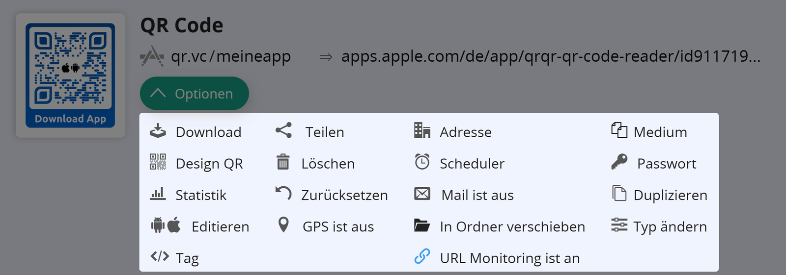 Screenshot der geöffneten Registerkarte Optionen eines QR Codes 