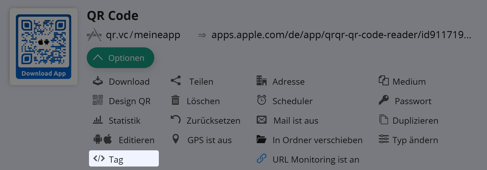 Screenshot der Schaltfläche "Tag" auf der Registerkarte "Optionen" eines QR Codes 