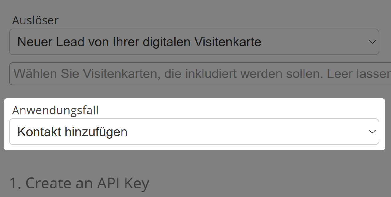 Screenshot: Integrationsformular für Rapidmail mit hervorgehobener Auswahlliste für "Anwendungsfall"